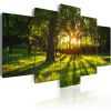 Tableau The forest reflection