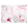 Papier peint intissé Fleurs Enveloped in white