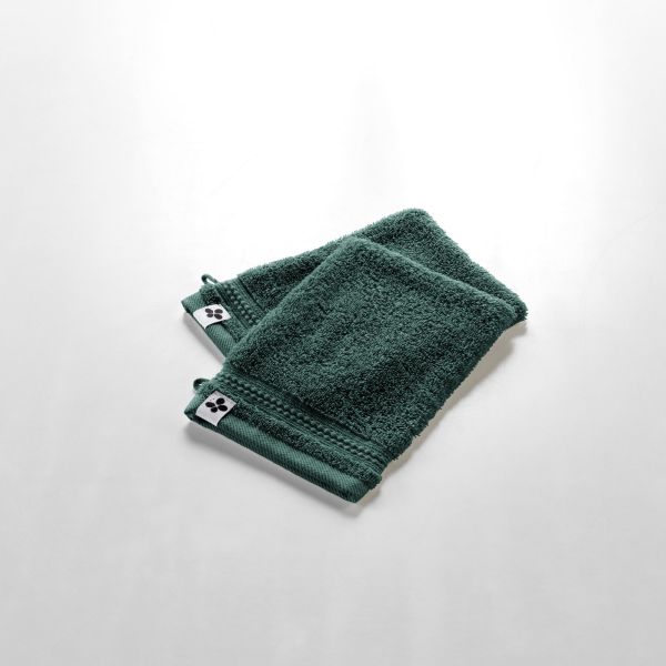 Lot de 2 gants 15x21 cm Éponge unie GARANCE Emeraude